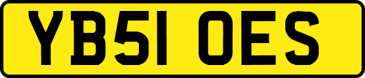 YB51OES
