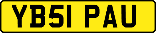 YB51PAU