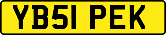 YB51PEK