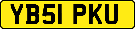 YB51PKU