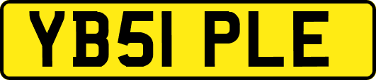 YB51PLE