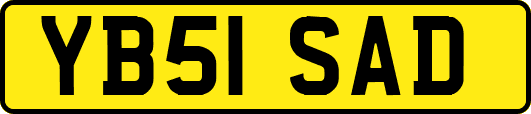 YB51SAD