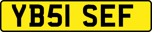 YB51SEF