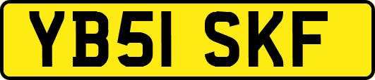 YB51SKF