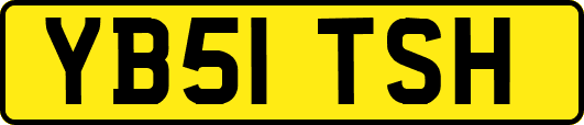 YB51TSH