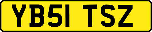 YB51TSZ