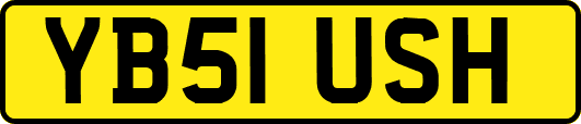 YB51USH