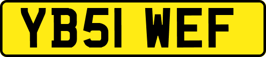 YB51WEF