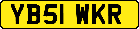 YB51WKR