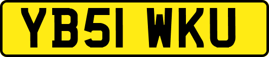YB51WKU