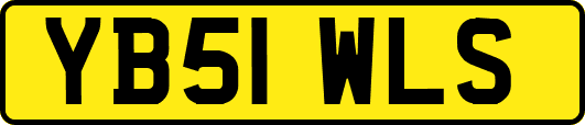 YB51WLS