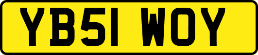 YB51WOY