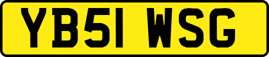 YB51WSG