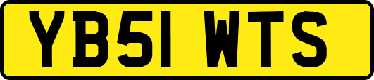 YB51WTS