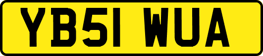YB51WUA