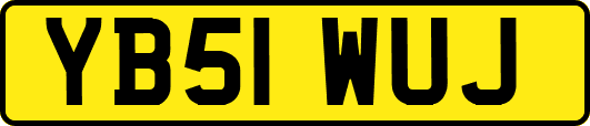 YB51WUJ