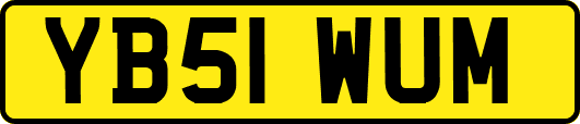 YB51WUM