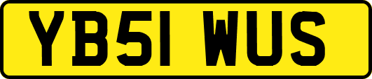 YB51WUS