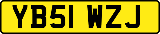 YB51WZJ