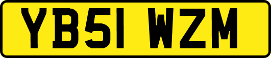 YB51WZM