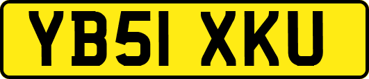 YB51XKU