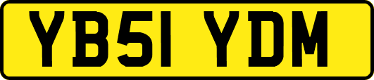 YB51YDM