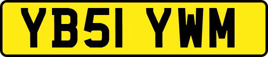 YB51YWM