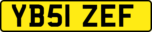 YB51ZEF
