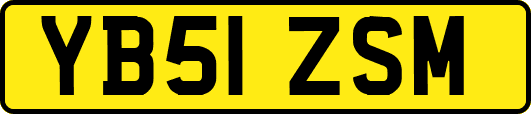 YB51ZSM