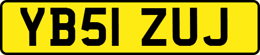 YB51ZUJ