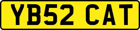 YB52CAT