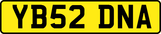 YB52DNA