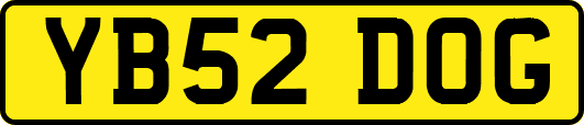 YB52DOG