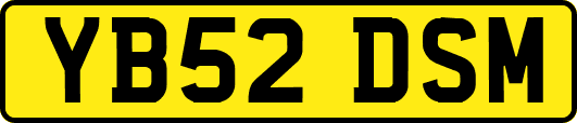 YB52DSM