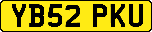 YB52PKU