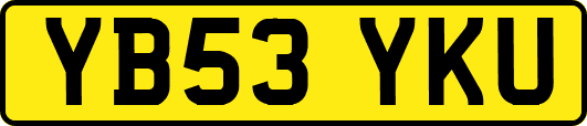 YB53YKU