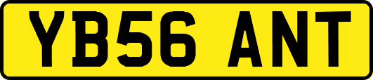 YB56ANT