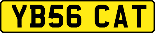YB56CAT