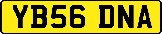 YB56DNA