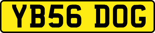 YB56DOG