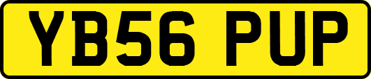 YB56PUP