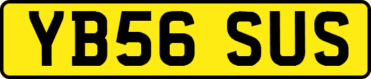 YB56SUS
