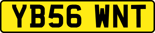 YB56WNT