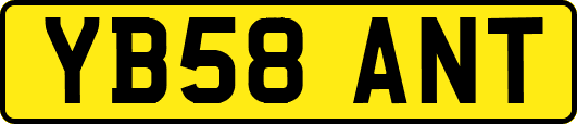 YB58ANT