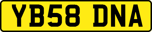 YB58DNA