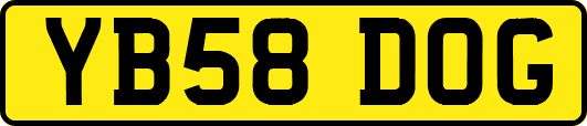 YB58DOG