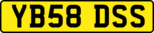 YB58DSS
