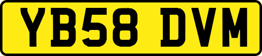 YB58DVM