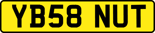 YB58NUT