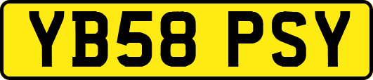 YB58PSY